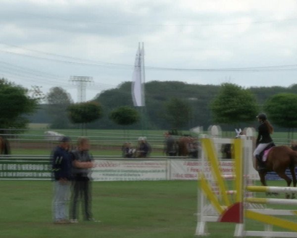 Reitturnier Dersekow 2017