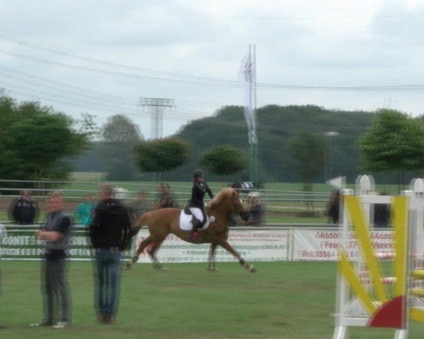 Reitturnier Dersekow 2017