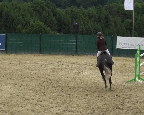 Springturnier Lindlar-Süttenbach 2017