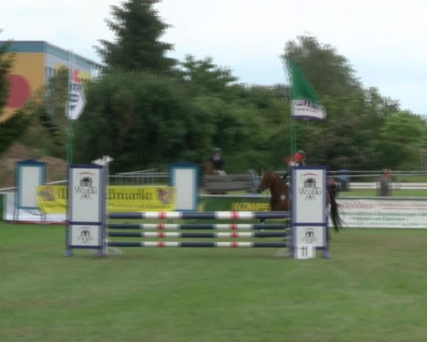 Reitturnier Dersekow 2017
