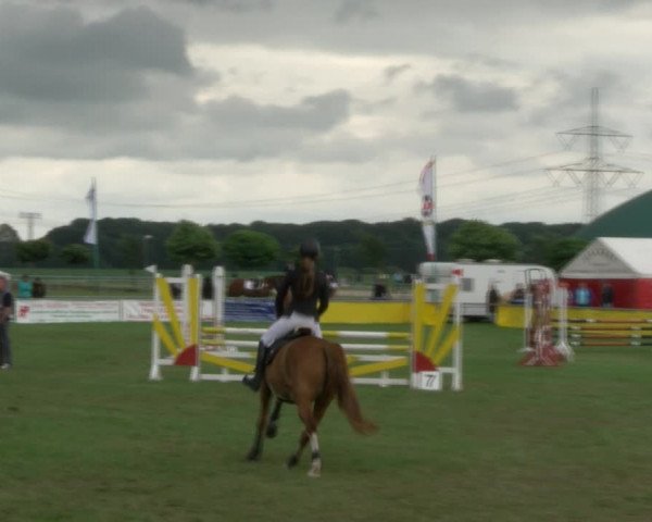 Reitturnier Dersekow 2017