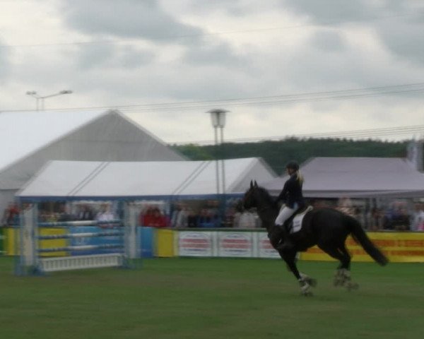 Reitturnier Dersekow 2017