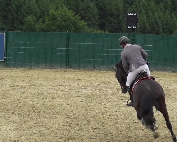 Springturnier Lindlar-Süttenbach 2017
