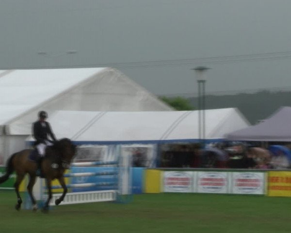 Reitturnier Dersekow 2017