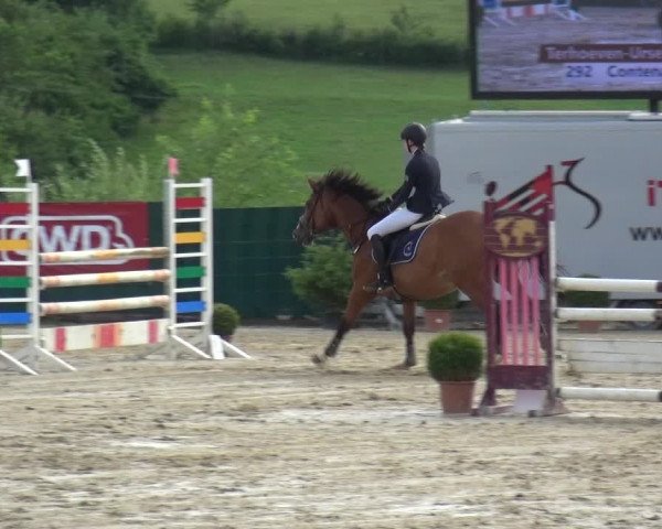 Springturnier Lindlar-Süttenbach 2017