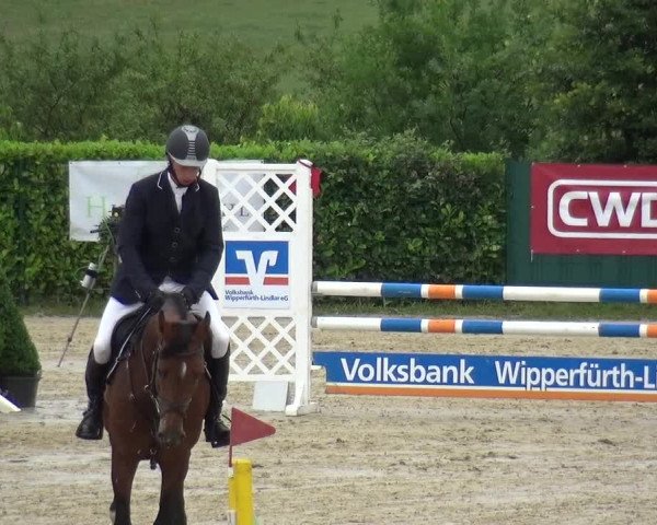 Springturnier Lindlar-Süttenbach 2017