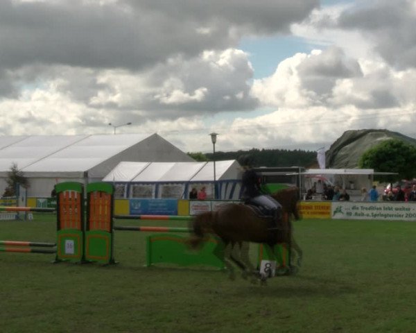 Reitturnier Dersekow 2017