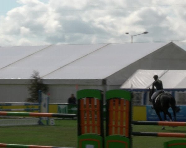 Reitturnier Dersekow 2017