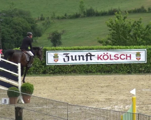 Springturnier Lindlar-Süttenbach 2017