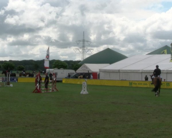 Reitturnier Dersekow 2017