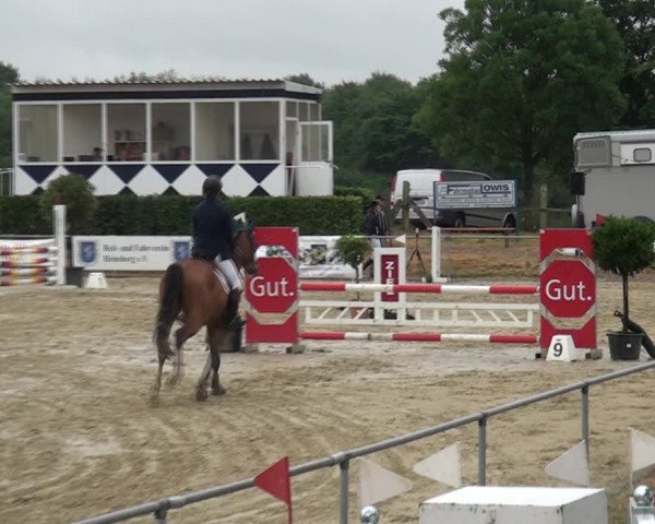Reitturnier Heinsberg 2017