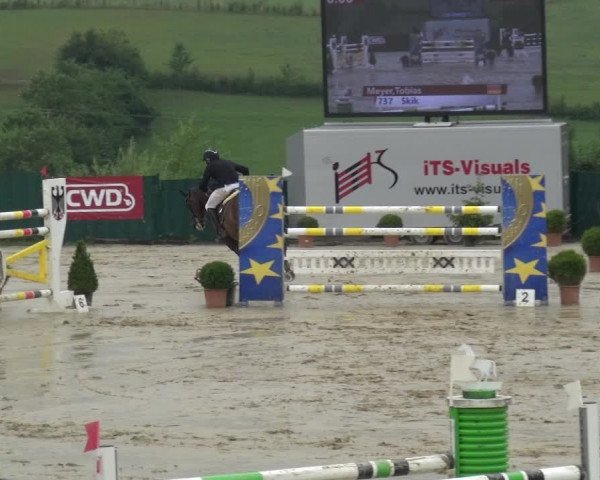 Springturnier Lindlar-Süttenbach 2017