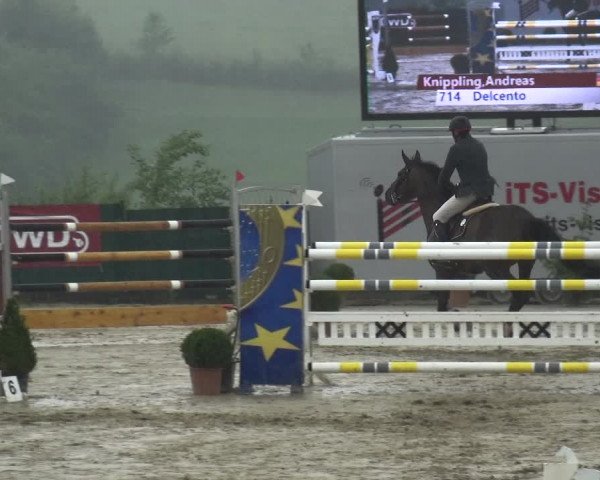 Springturnier Lindlar-Süttenbach 2017