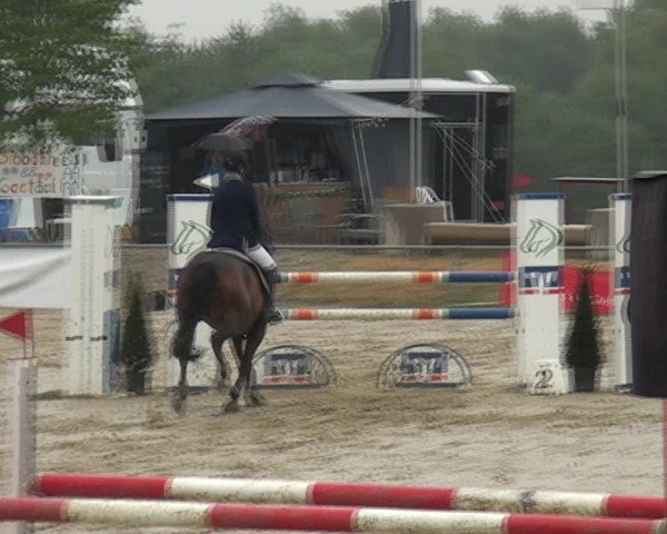 Reitturnier Heinsberg 2017