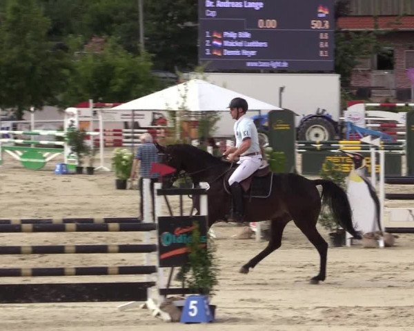 Reitturnier Haren 2017