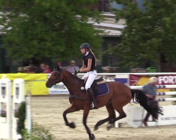 Reitturnier Haren 2017