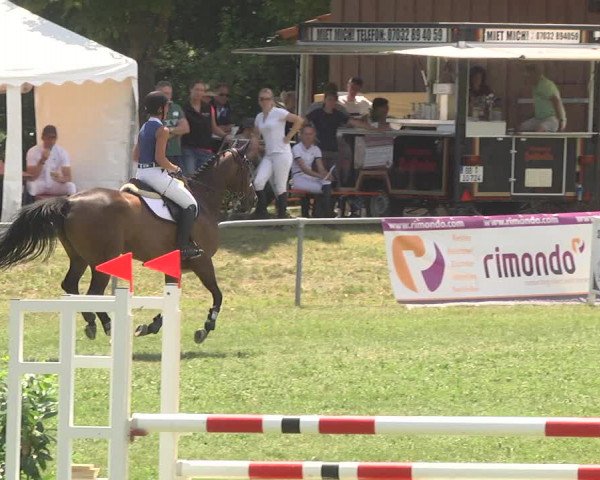 Reitturnier Herrenberg-Gültstein 2017