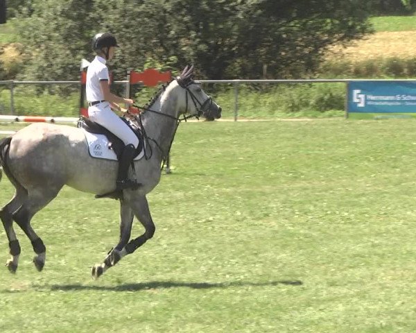 Reitturnier Herrenberg-Gültstein 2017