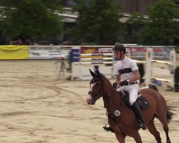 Reitturnier Haren 2017