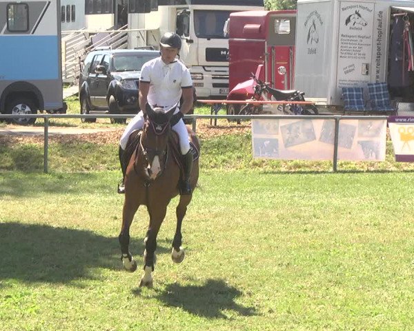 Reitturnier Herrenberg-Gültstein 2017