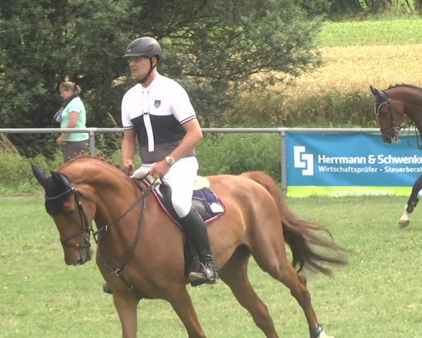 Reitturnier Herrenberg-Gültstein 2017