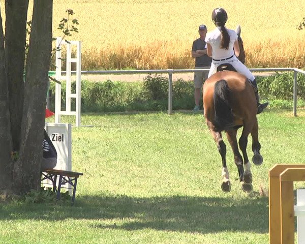 Reitturnier Herrenberg-Gültstein 2017