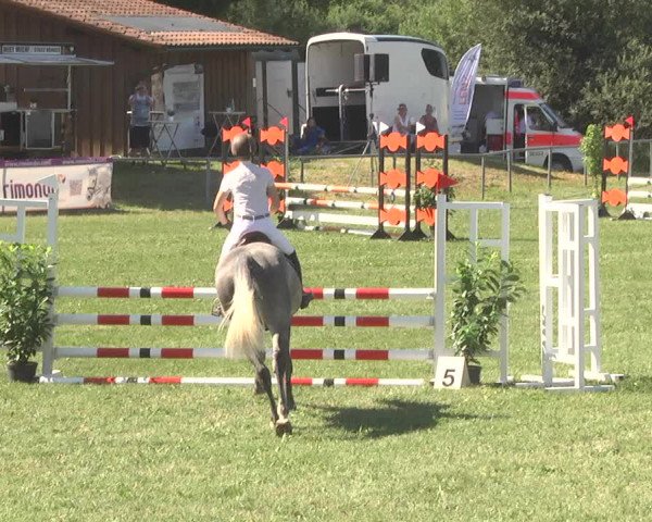Reitturnier Herrenberg-Gültstein 2017