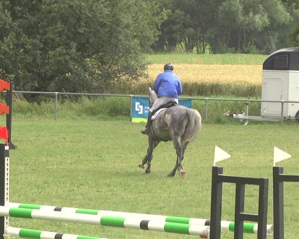 Reitturnier Herrenberg-Gültstein 2017