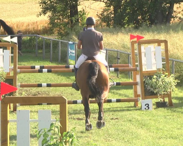 Reitturnier Herrenberg-Gültstein 2017