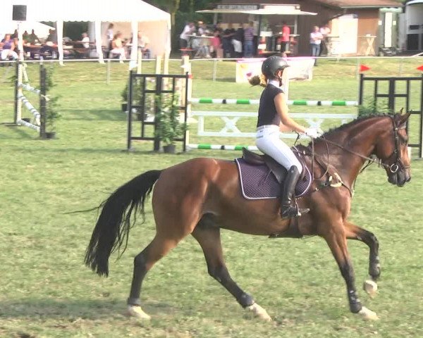Reitturnier Herrenberg-Gültstein 2017