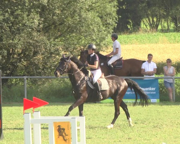 Reitturnier Herrenberg-Gültstein 2017