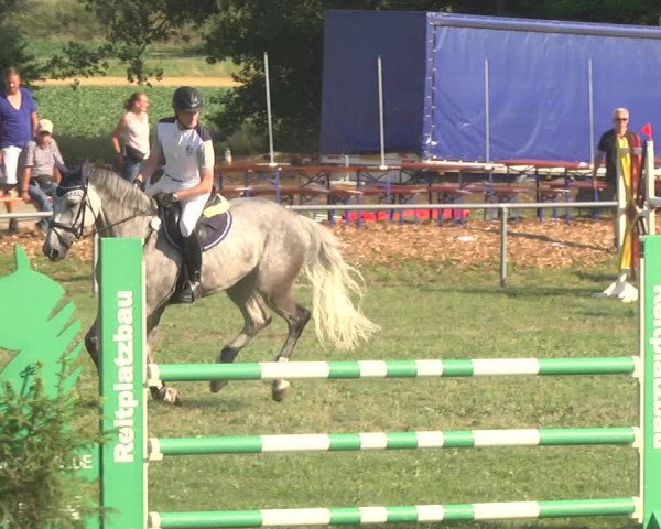 Reitturnier Herrenberg-Gültstein 2017