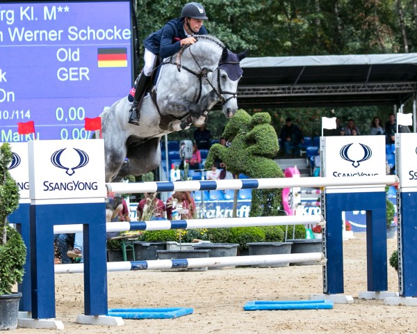 stallion Diaron OLD (Oldenburg, 2012, from Diarado)