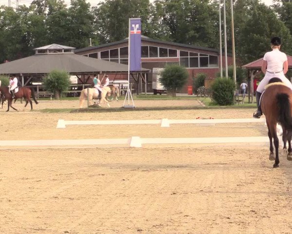 Reitturnier Münster-Roxel 2017