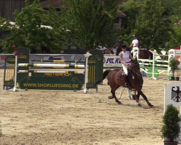 Reitturnier Haren 2017