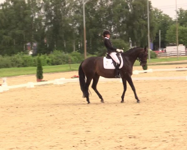 Reitturnier Münster-Roxel 2017