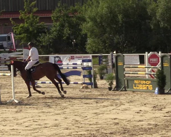 Reitturnier Haren 2017