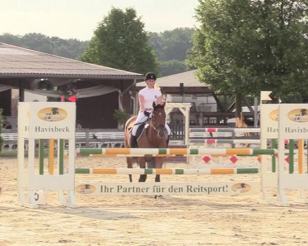 Reitturnier Münster-Roxel 2017
