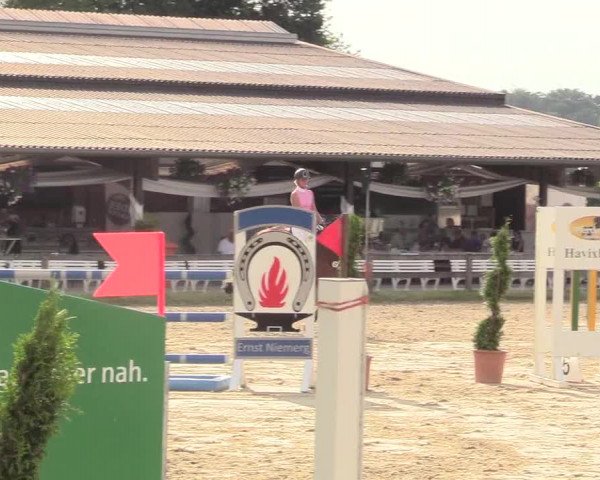 Reitturnier Münster-Roxel 2017