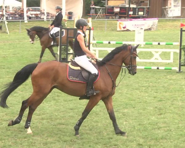 Reitturnier Herrenberg-Gültstein 2017