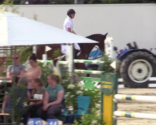 Reitturnier Haren 2017