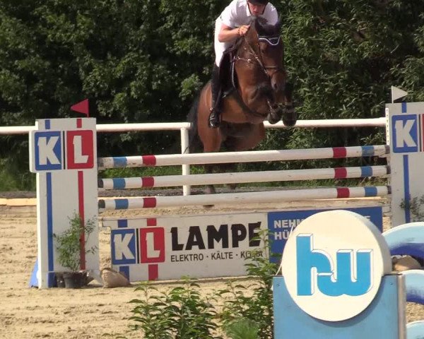 Reitturnier Haren 2017