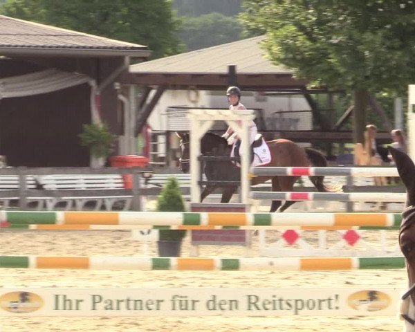 Reitturnier Münster-Roxel 2017