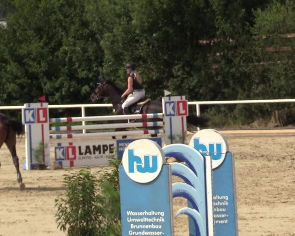 Reitturnier Haren 2017