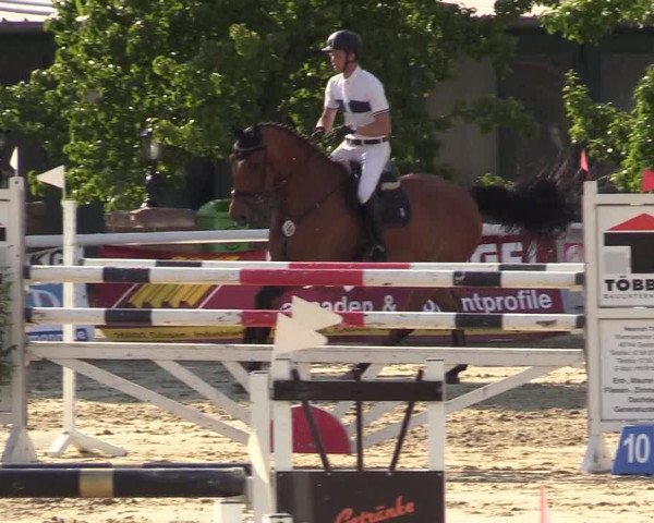Reitturnier Haren 2017