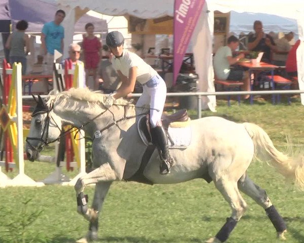 Reitturnier Herrenberg-Gültstein 2017