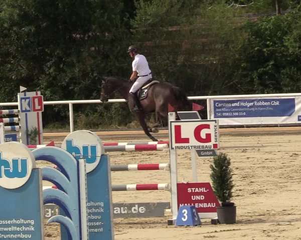 Reitturnier Haren 2017
