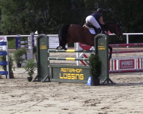 Reitturnier Haren 2017