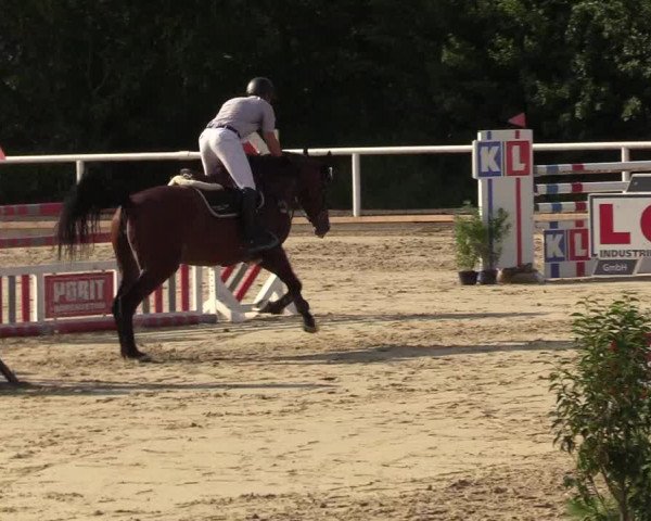 Reitturnier Haren 2017