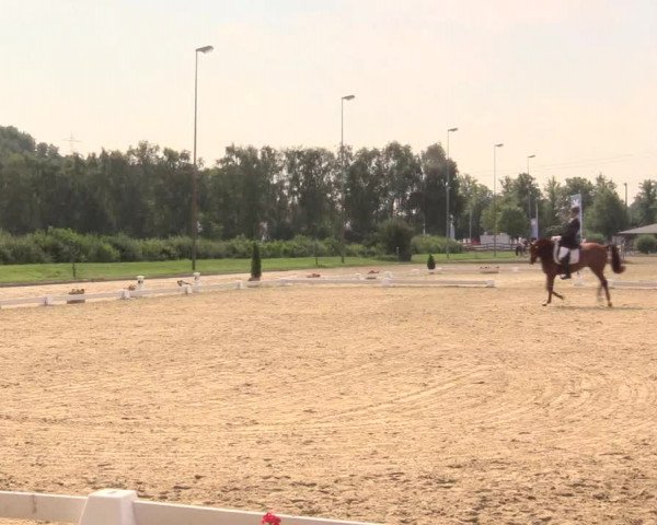 Reitturnier Münster-Roxel 2017